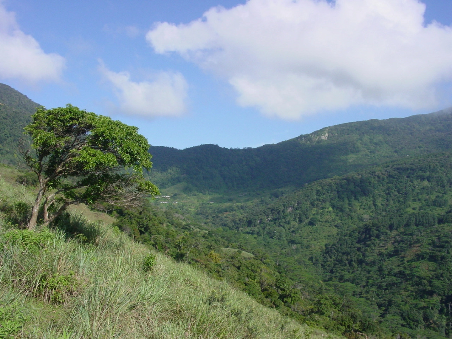 Explorer by Eco Team - Knuckles