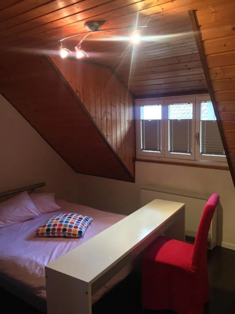 Hôtel-Restaurant Le Lion d'Or