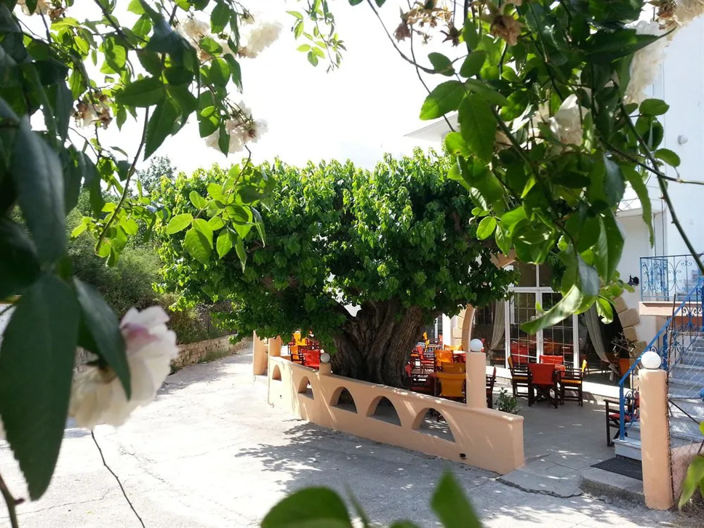 Effie's Dreams Holiday Studios