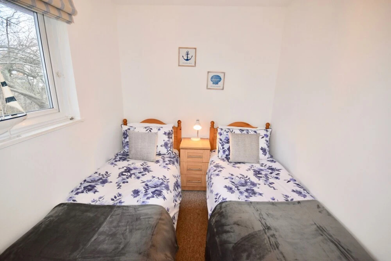 The Seashells - Seaview