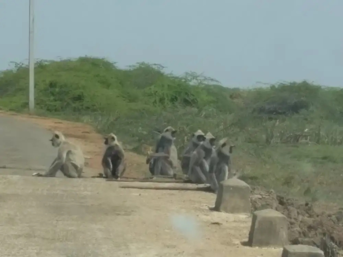 Hotel Bundala Park - Hostel