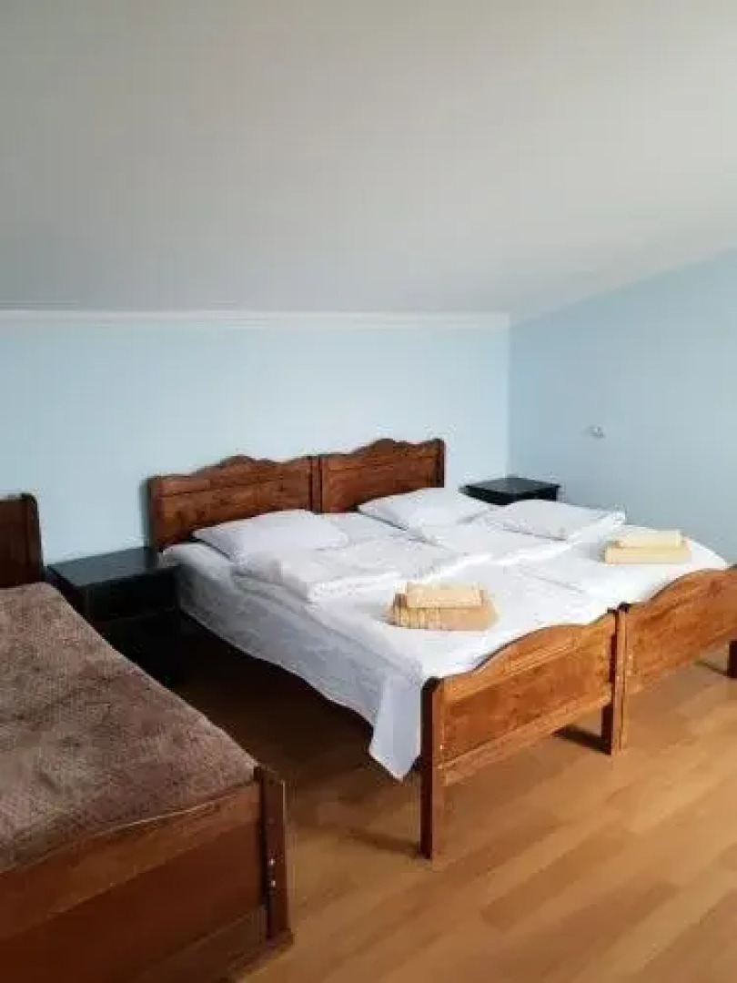 Tsitsia and Stepan Guest House