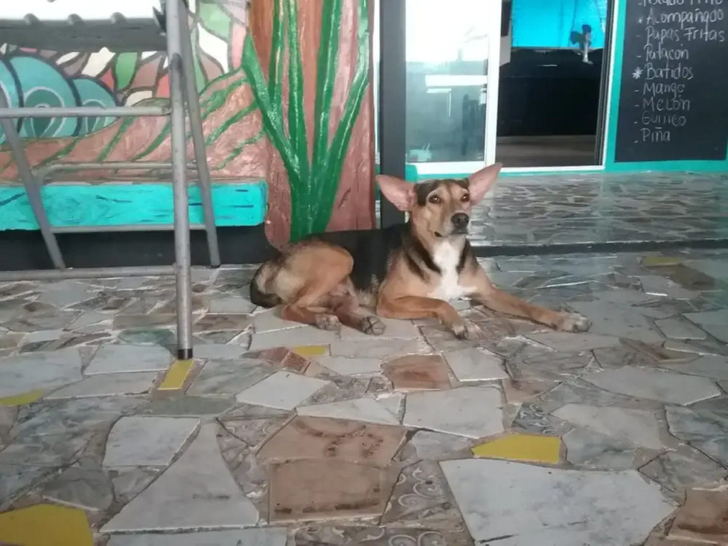 Hostal Portobelo - Hostel