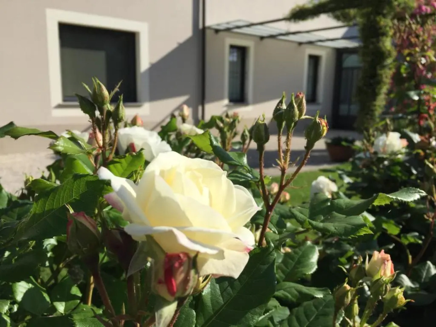 B&B Cascina Sagrestia