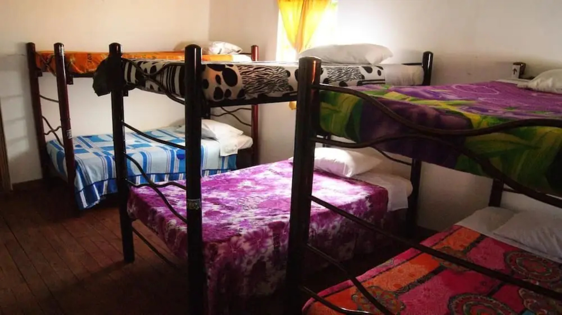 Hostal Casa del Loro - Hostel