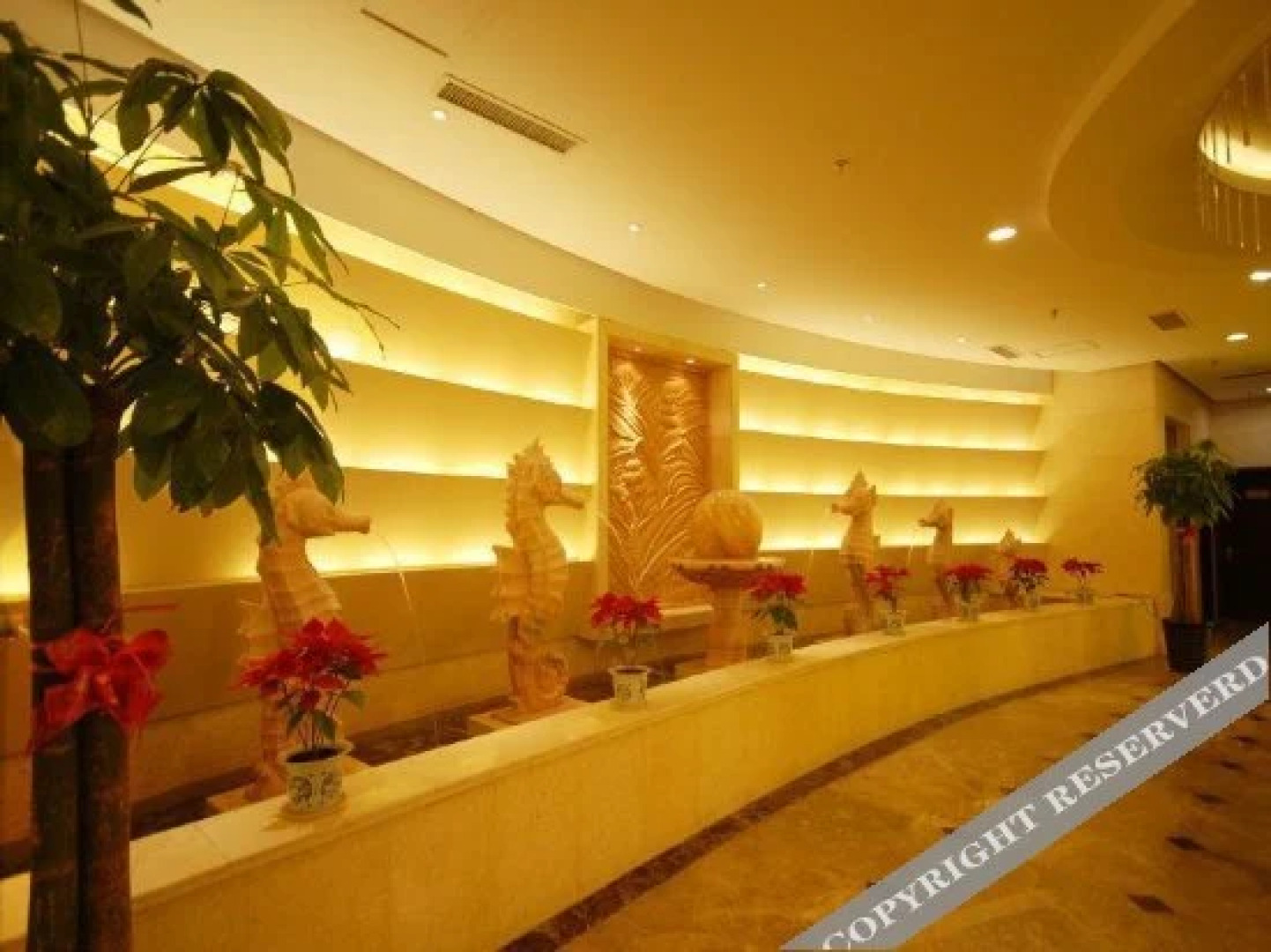 Xinkang International Hotel