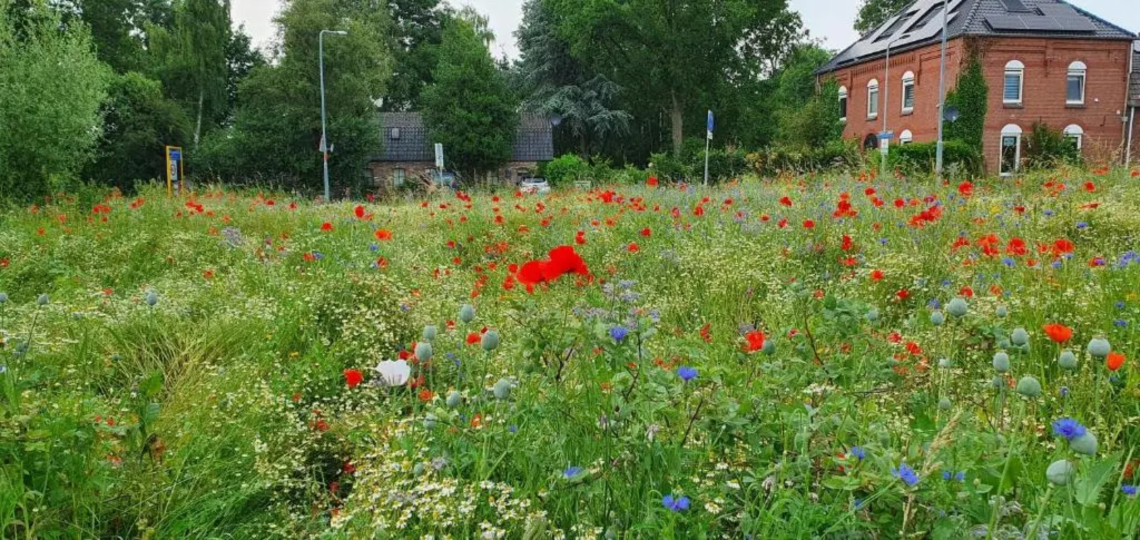 Art, Bed & Breakfast