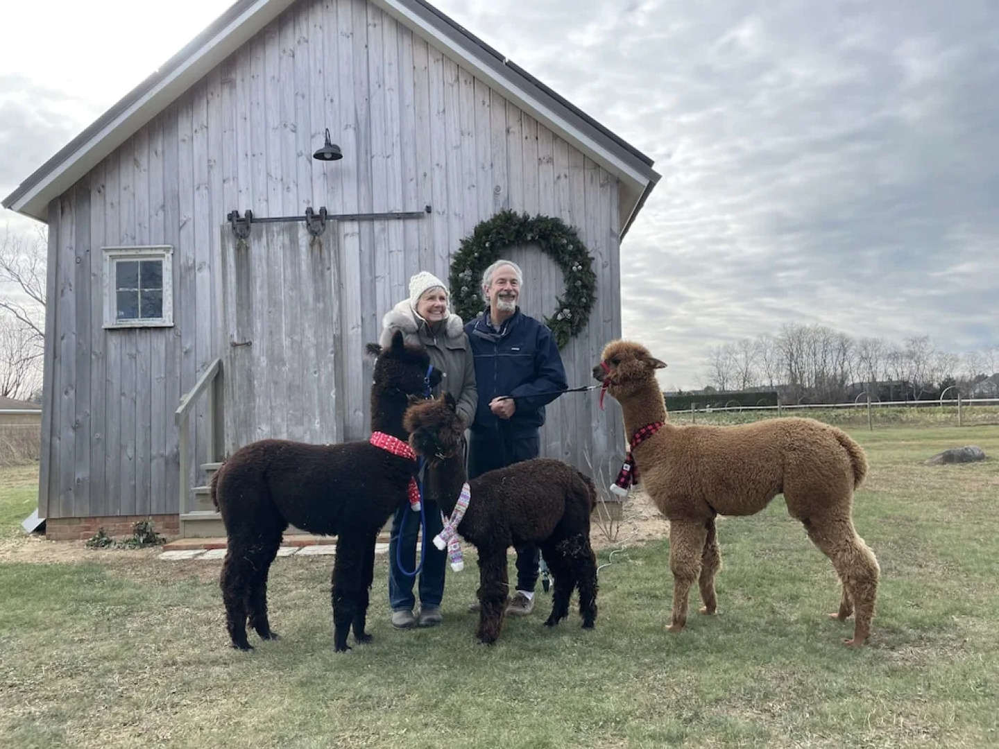 The Farmhouse Bed and Breakfast