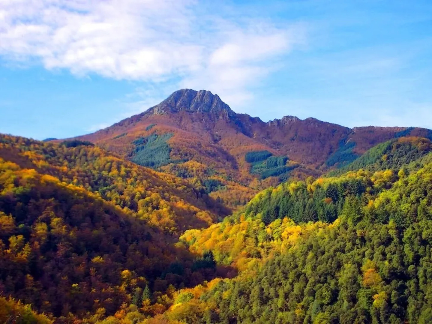 Villa Camelies CasasMontseny Costa Brava