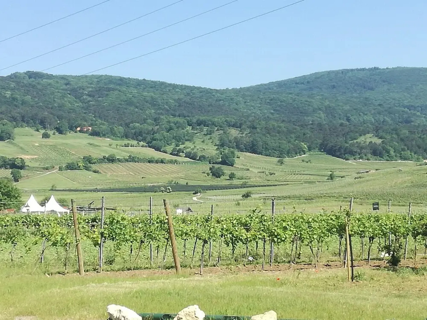 Schlaffass- Schlafen im Weinfass - Campsite