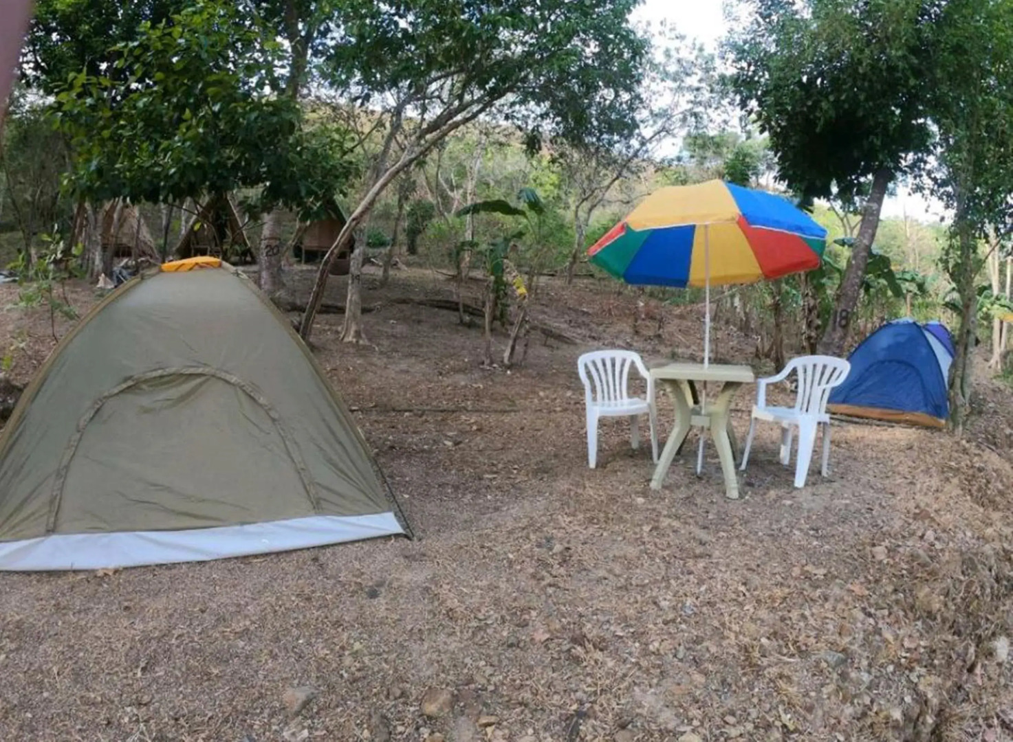 Singalong Nature Camphill Site