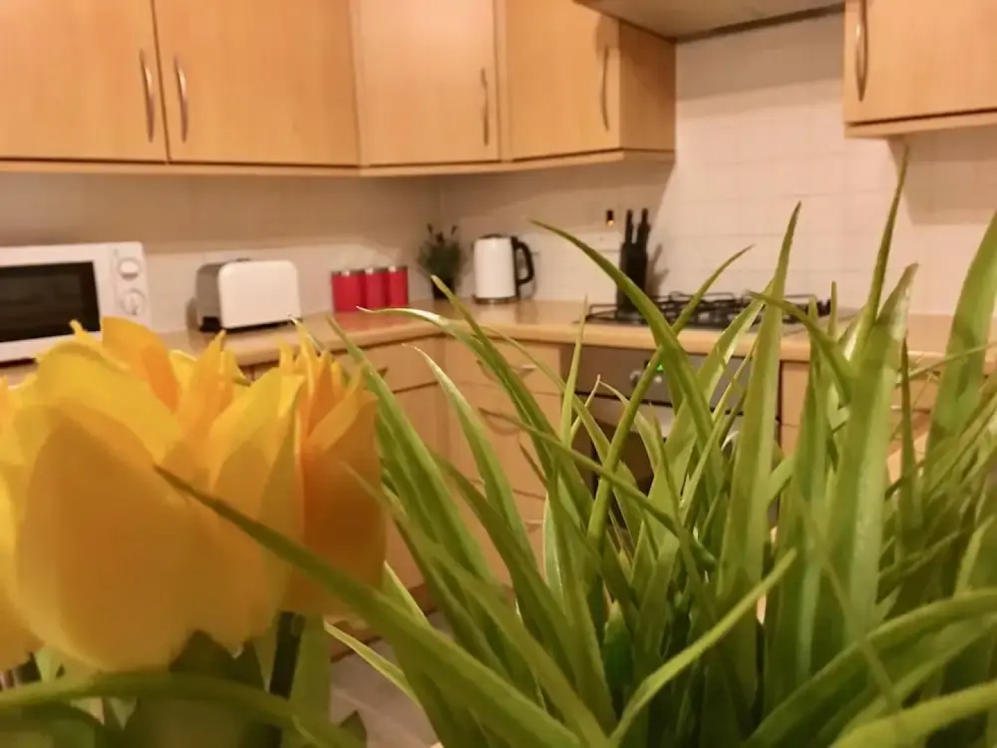 Eastleigh House near Airport