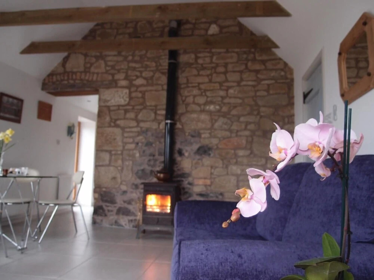 Cockle Kitty Cottage