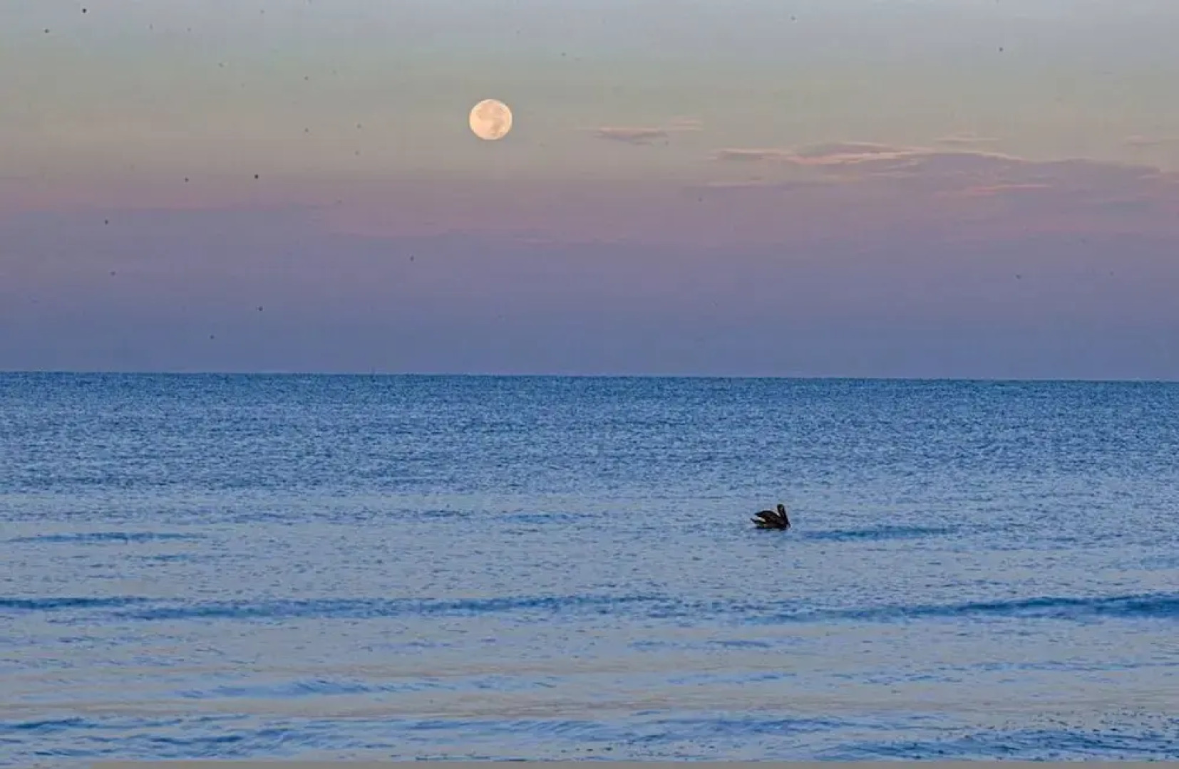 Hibiscus Heated Pool Private Dock Bikes Kayaks Walk to Fishermen s Village
