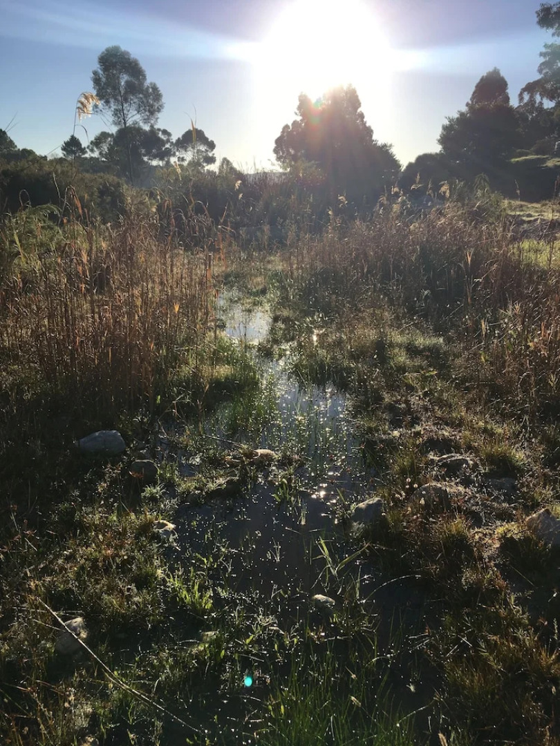 Stellar Overberg Travellers Lodge