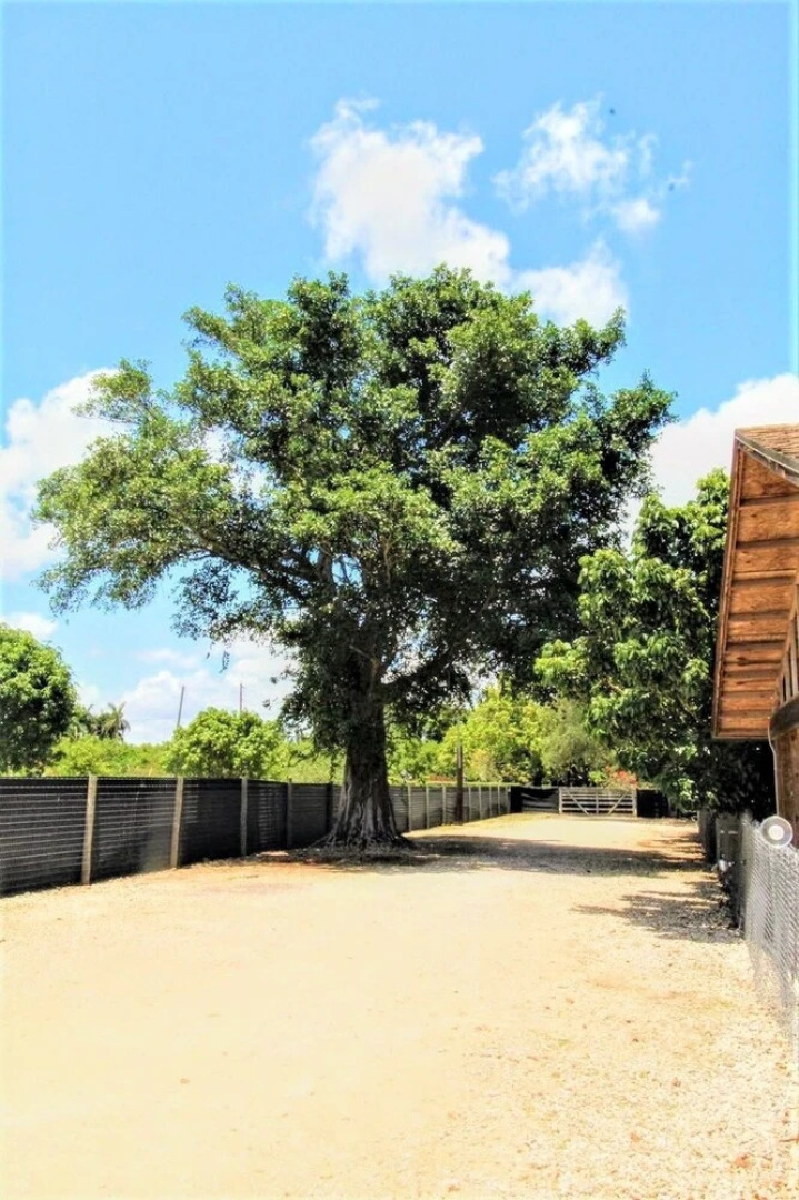 Tiny House in Authentic Japanese Koi Garden in Florida