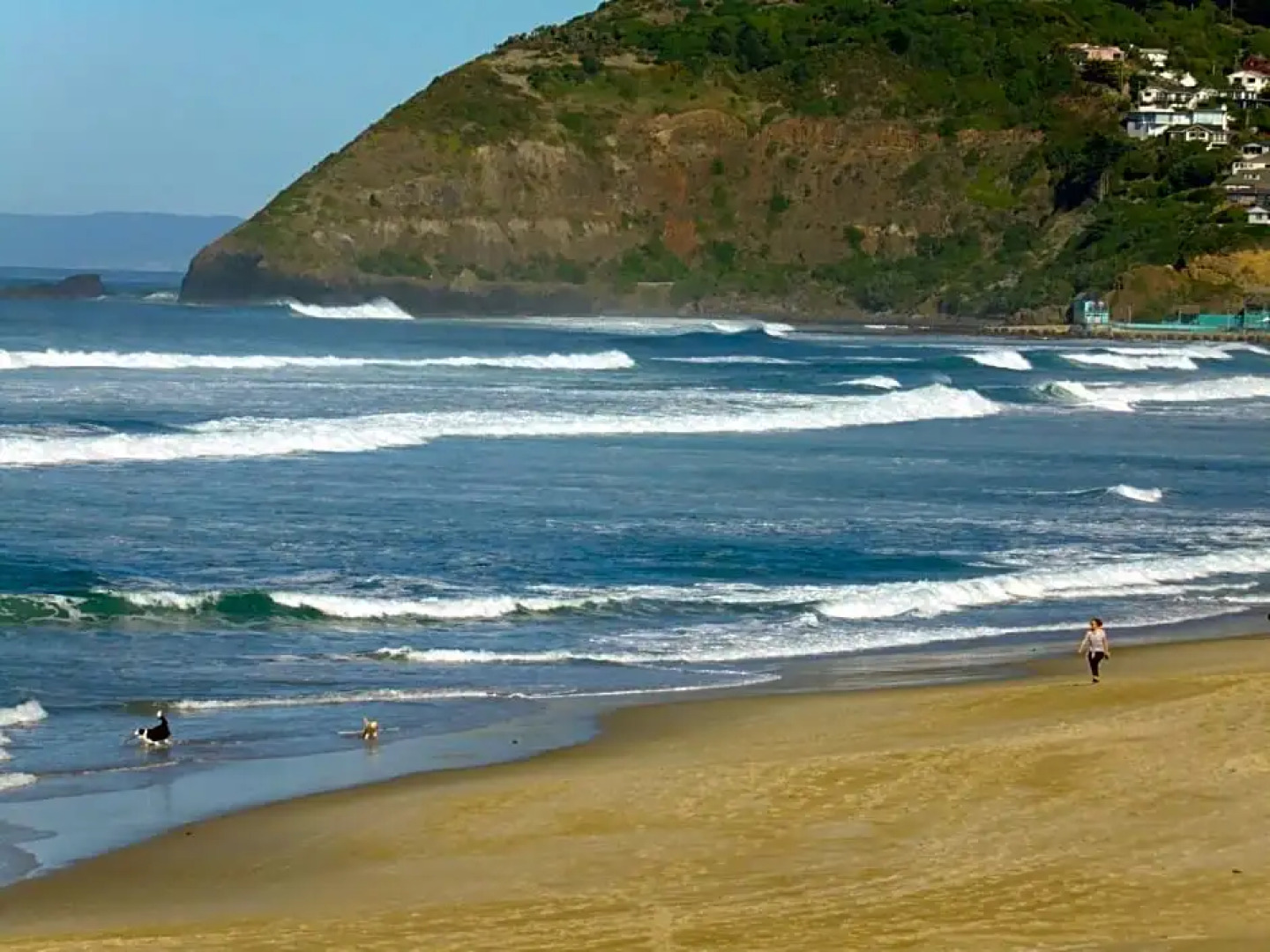 Rosemount B&B by the Sea St Clair