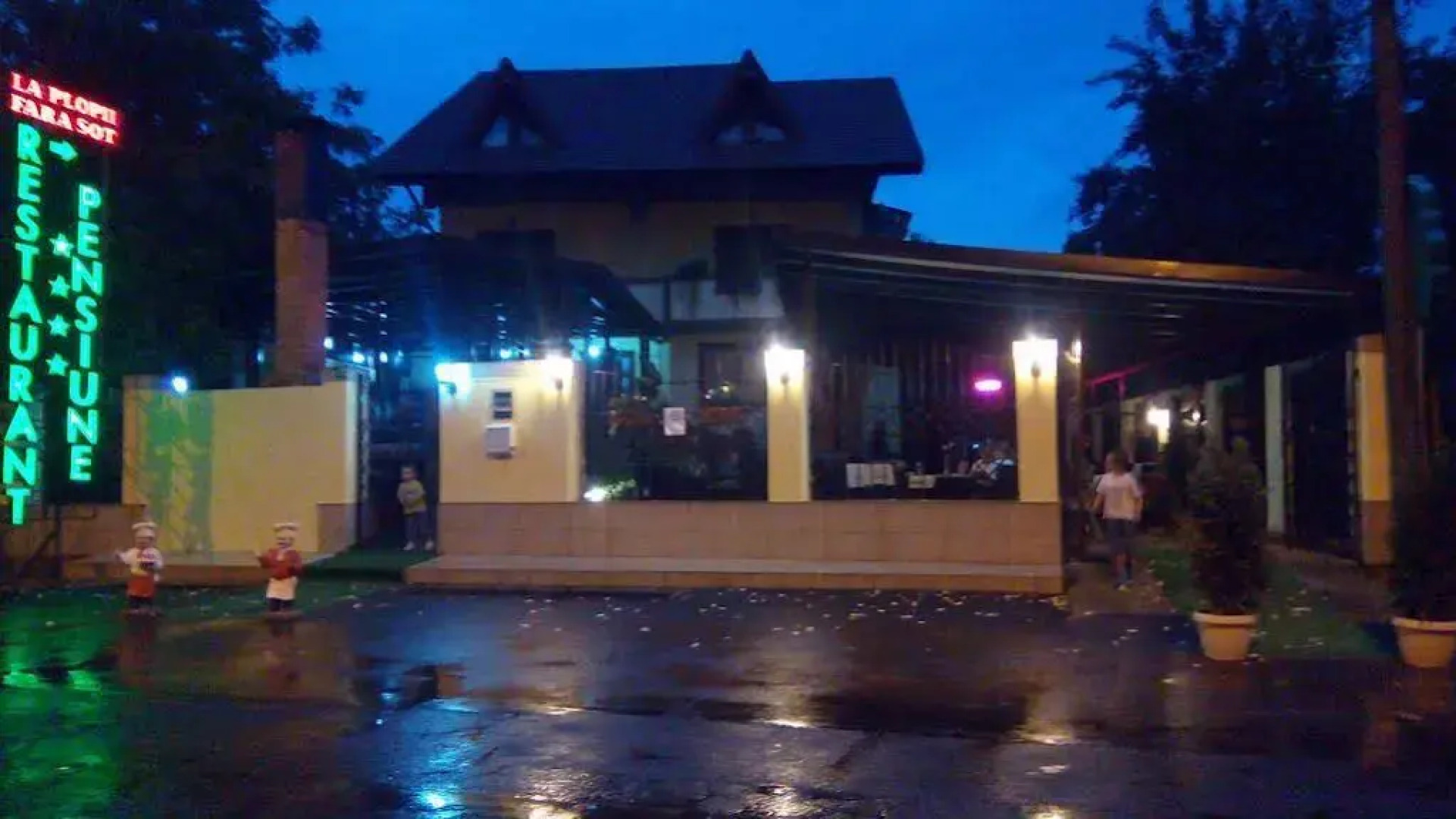 Pensiunea La Plopii Fara Sot