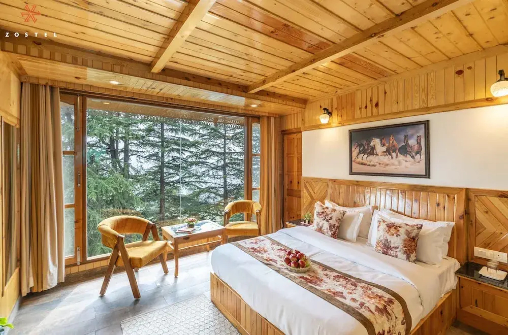 Zostel Kotgarh (Narkanda)