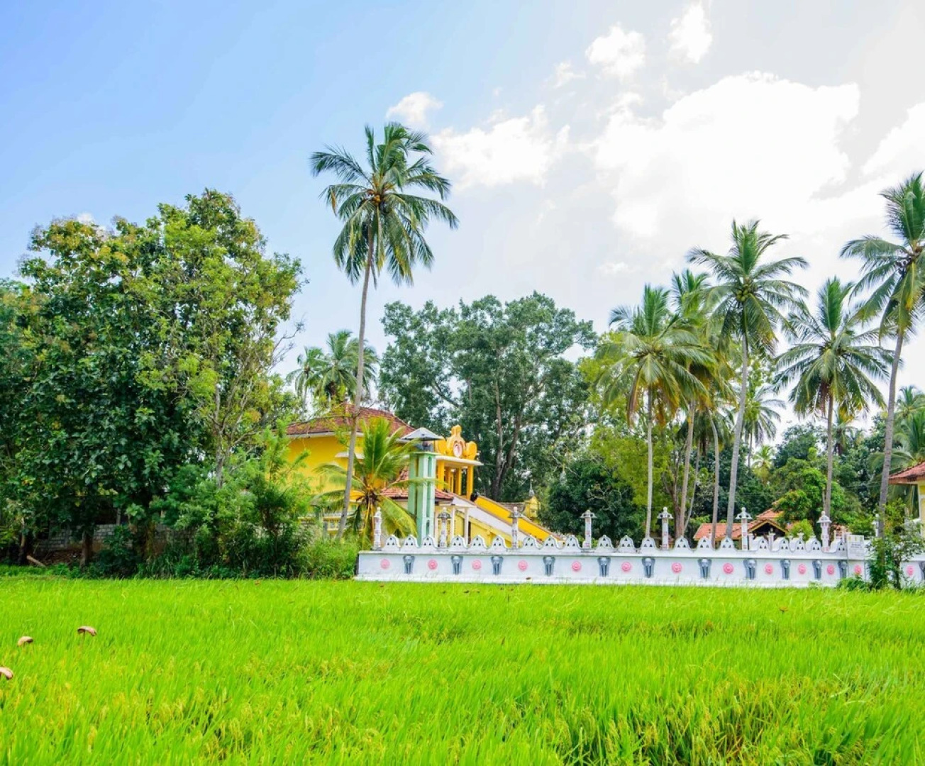 The Berrycove Bungalow