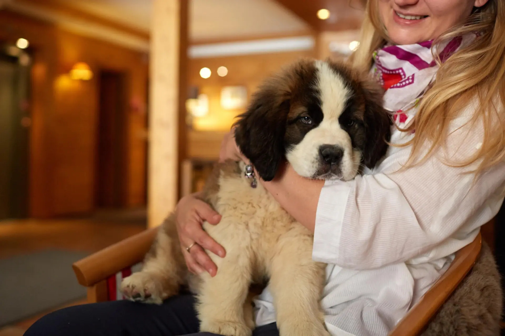 Hôtel de l'Arve by HappyCulture