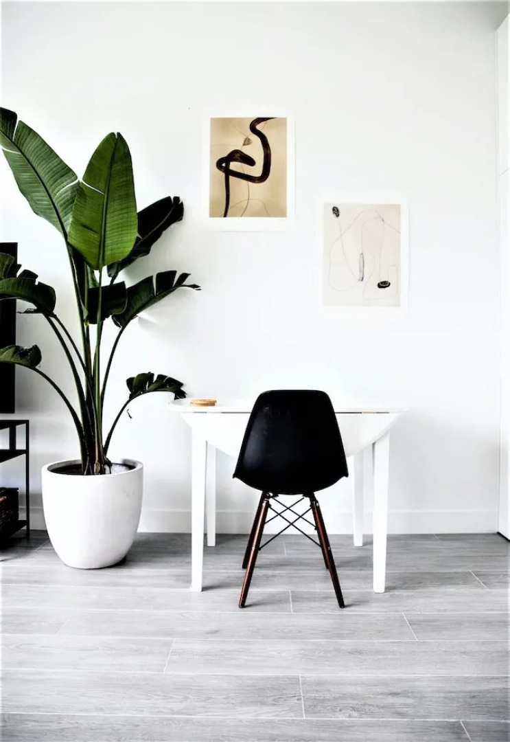 Cayman Luxury Rentals at The Grove