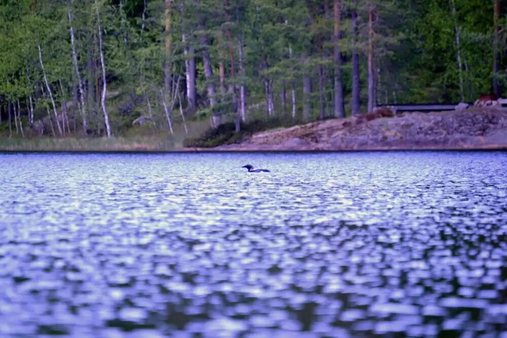 Salkolahti Minttu