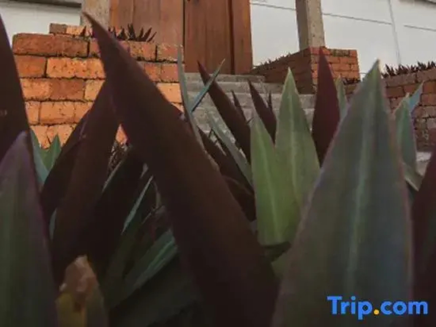 The Townhouse - By Samadhi