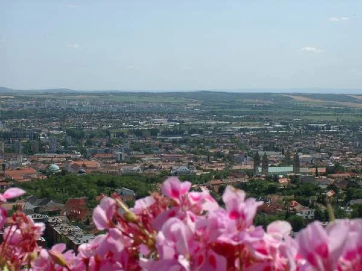 Hotel Fenyves Panorama
