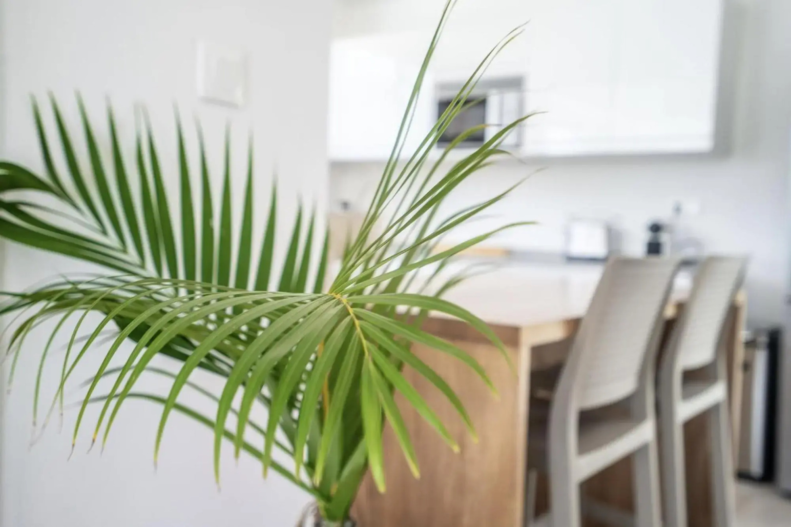 Villa Bel'Amandier : 3ch, bac à punch à 2min à pied de la plage