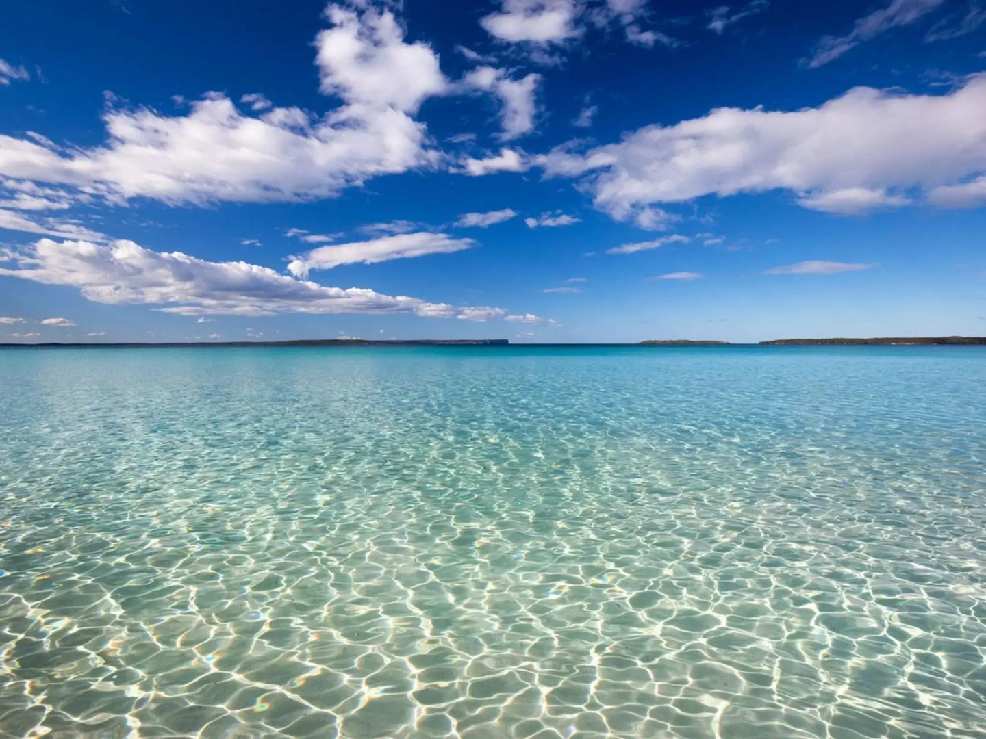 Saltwood at Hyams 4pm Check Out Sundays except Peak season