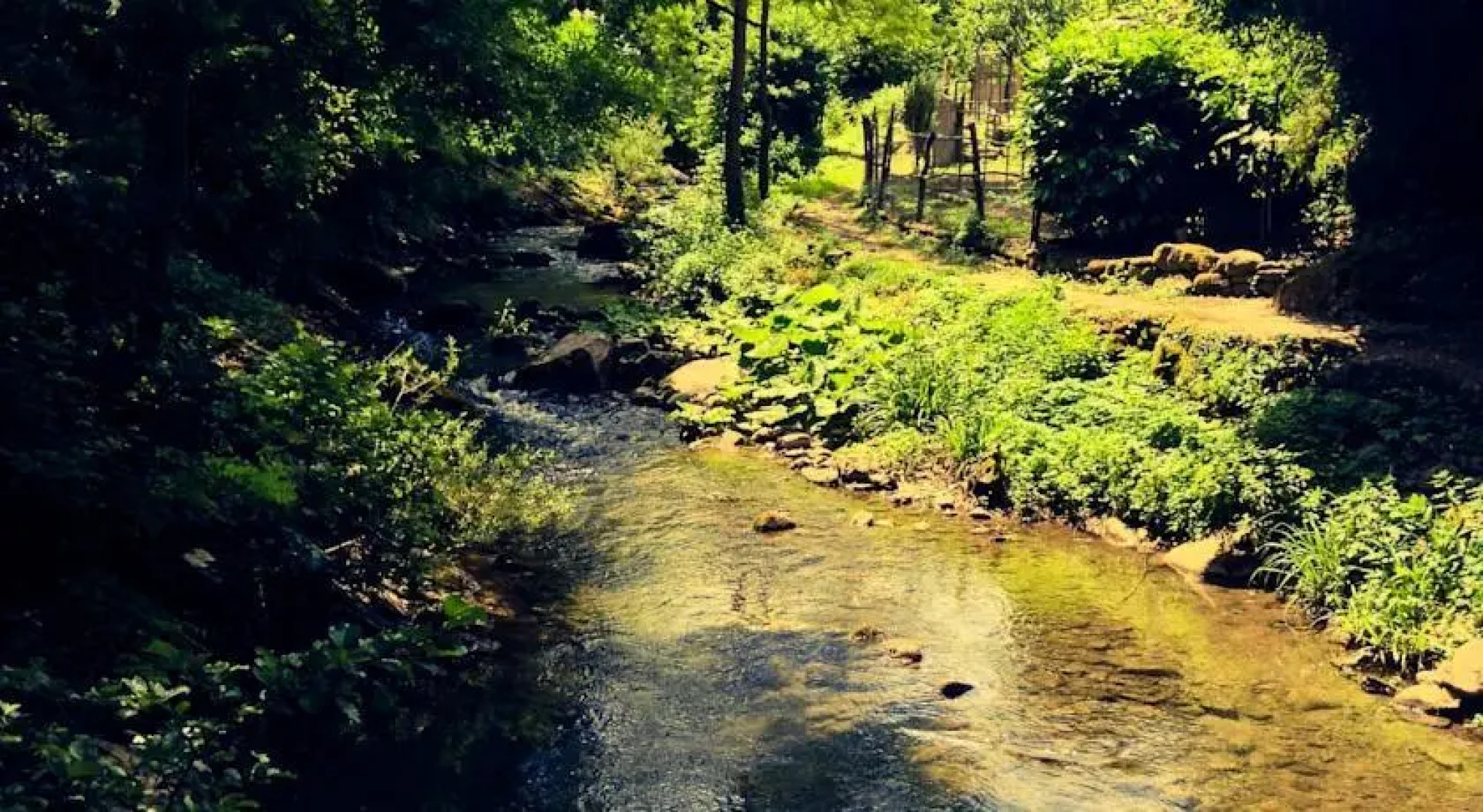 Duplex a pochi passi da Firenze