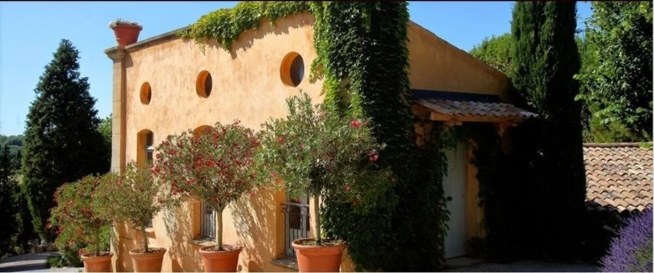 The Provence Experience