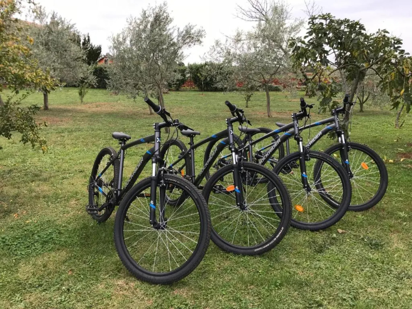 Appartment Hacienda Monica