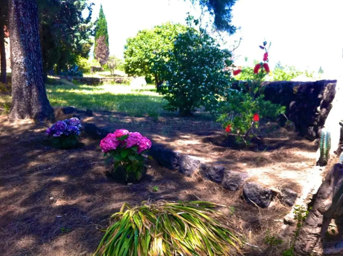 Villa Bonaccorso Casale-splendida Villa Immersa Nella Natura ai Piedi Dell Etna