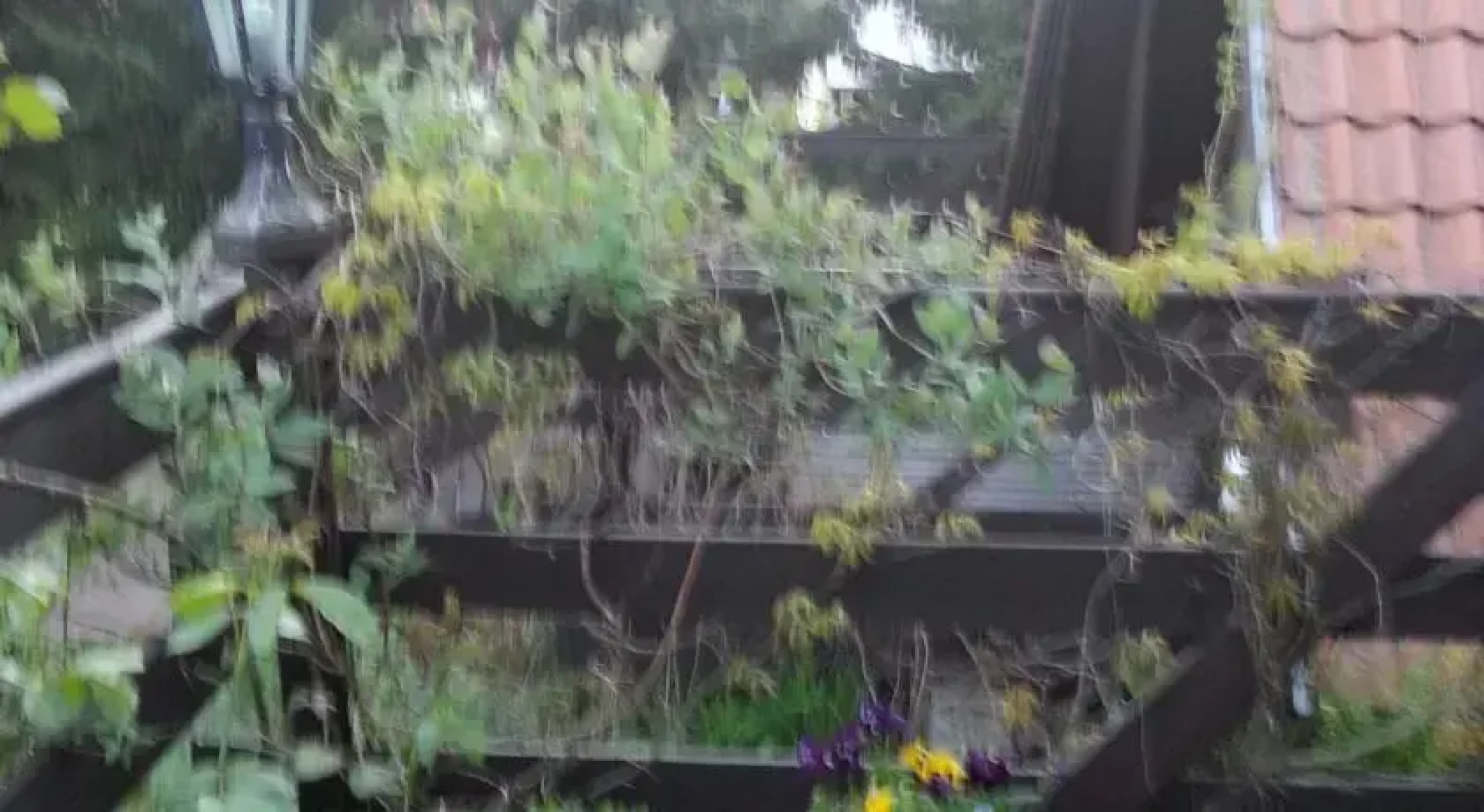 Domki Letniskowe Prusim