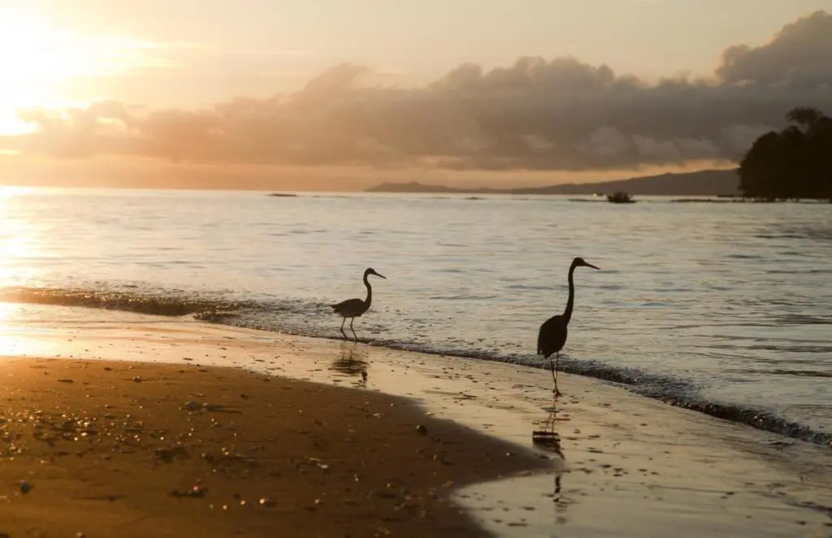 Hotel Hibiscus Garden / Jardin De Papos