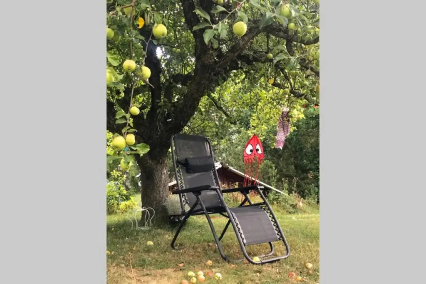 The Cozy Little House