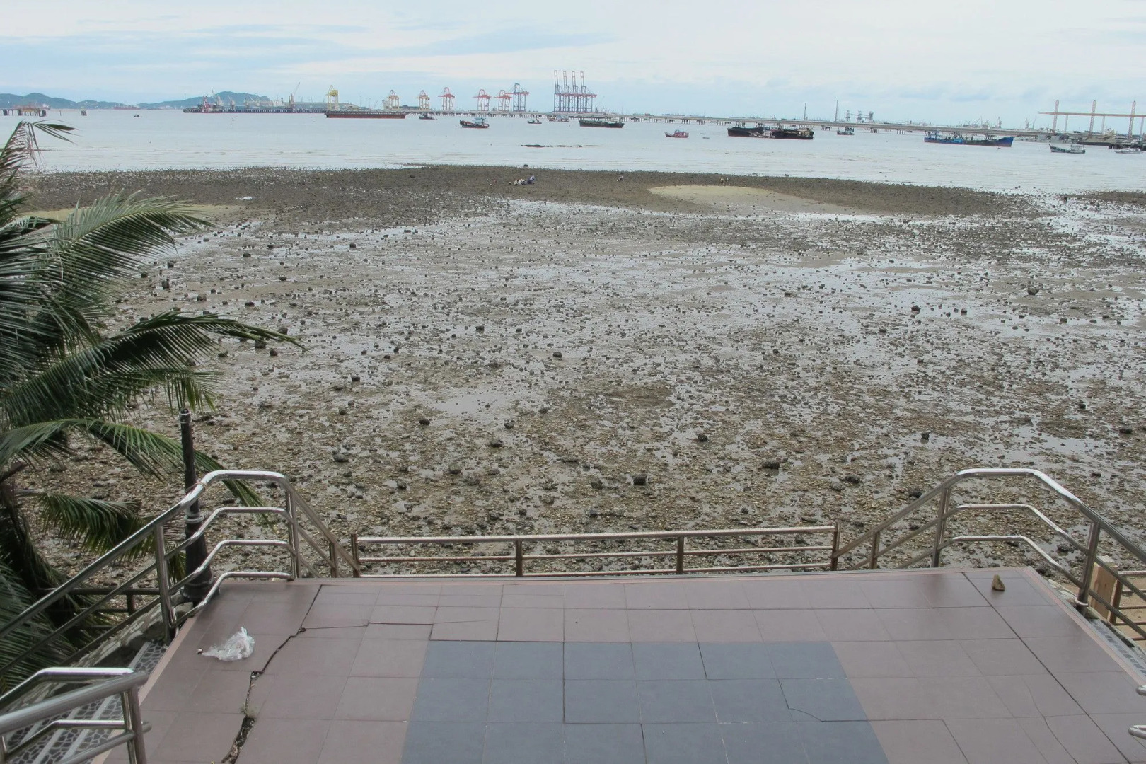 Chateau Vista Serviced apartment