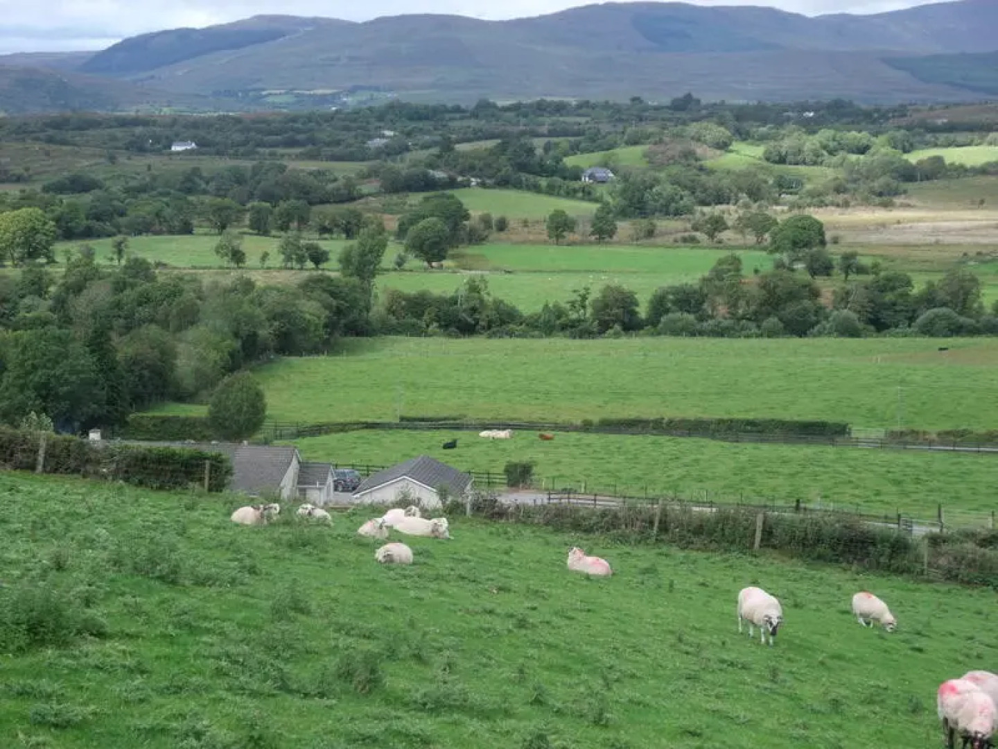 White Heather Farmhouse