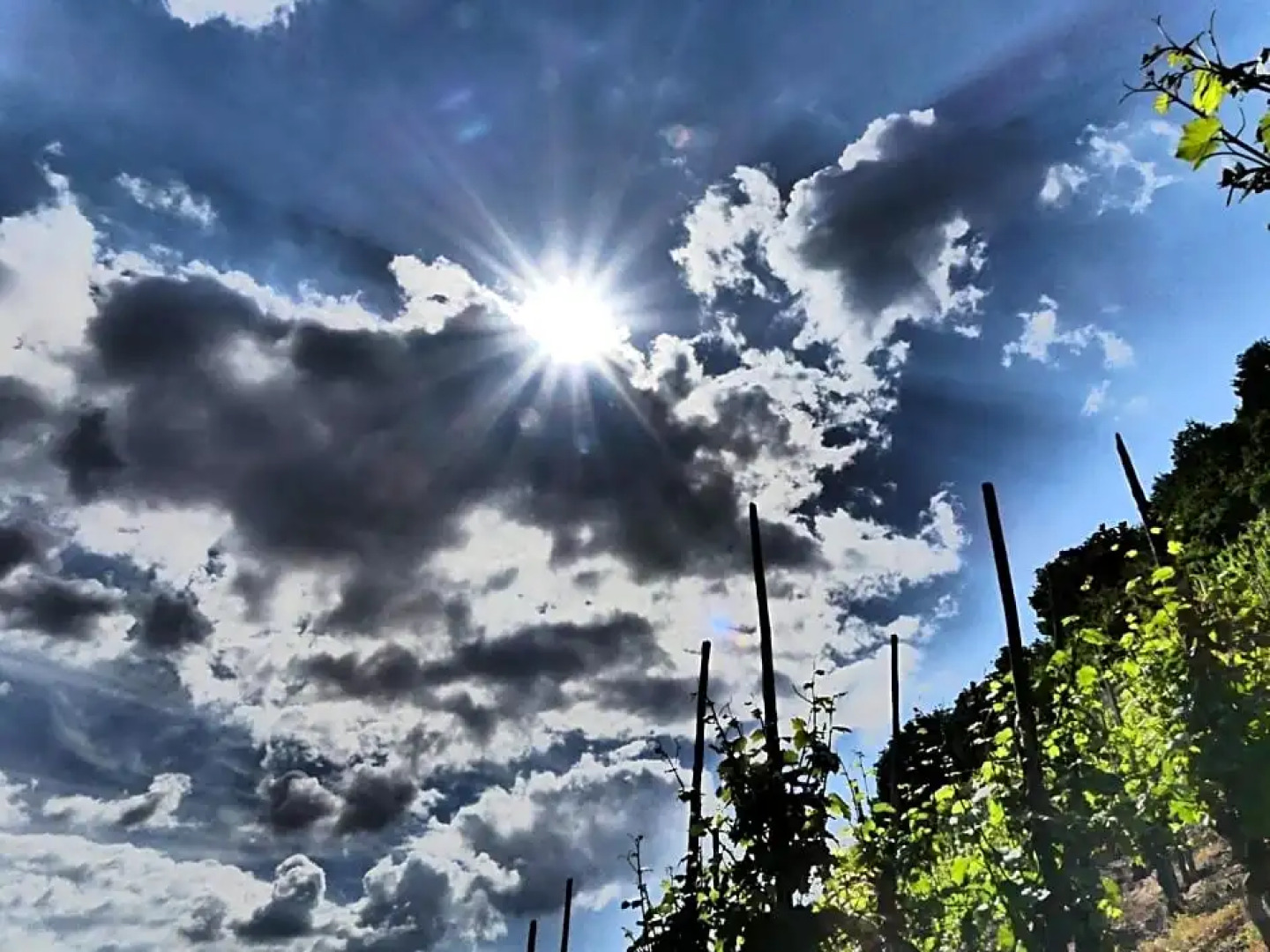 Hatzenporter Paradies (Adults Only)