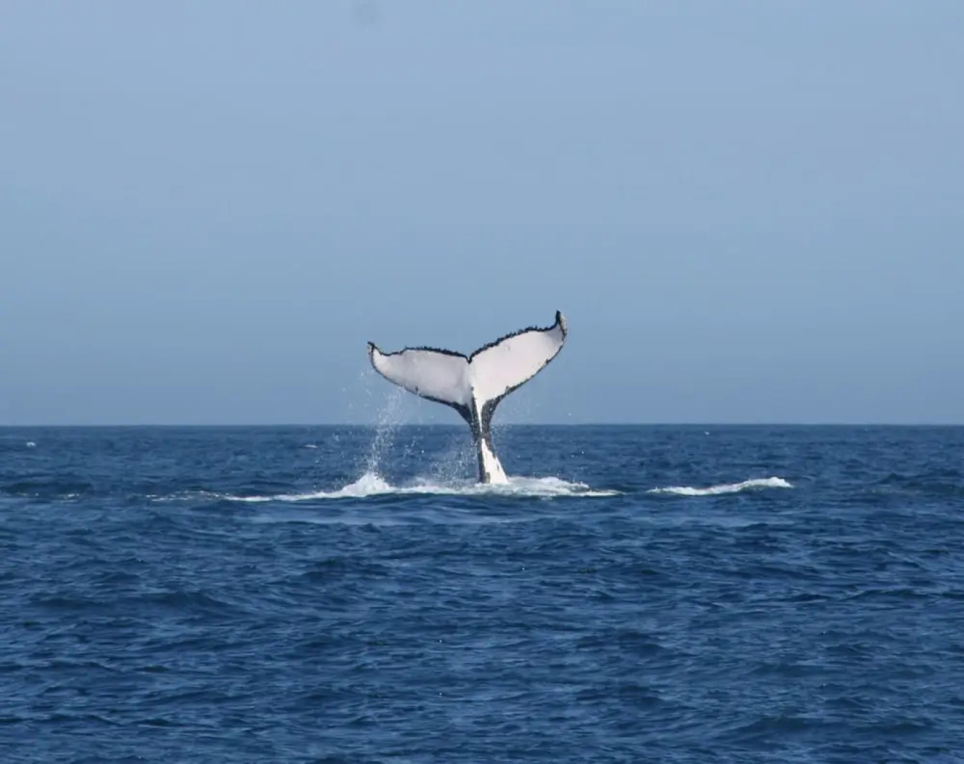 Apart Hotel Las Cherelas