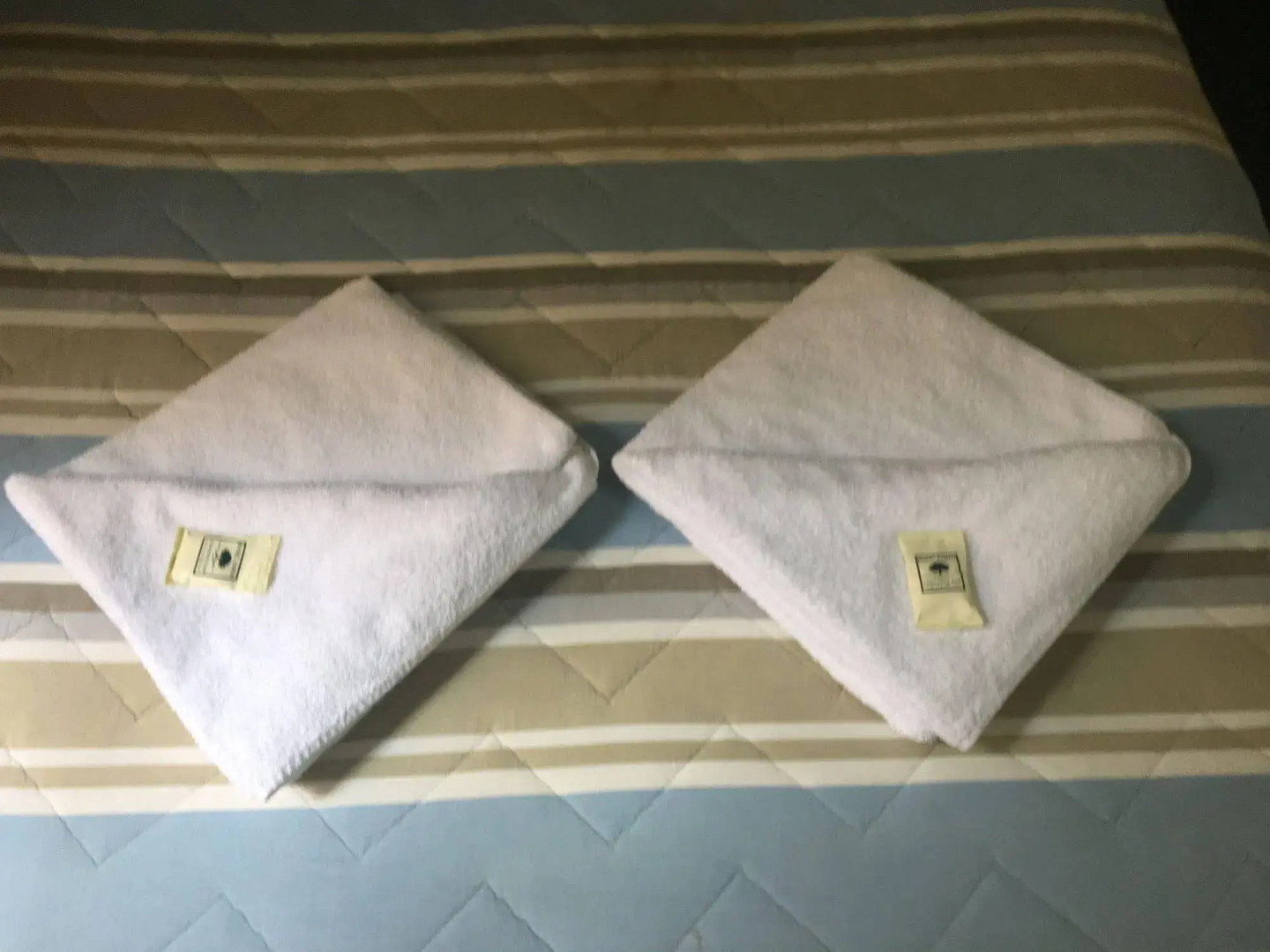 The George Sydney - Hostel