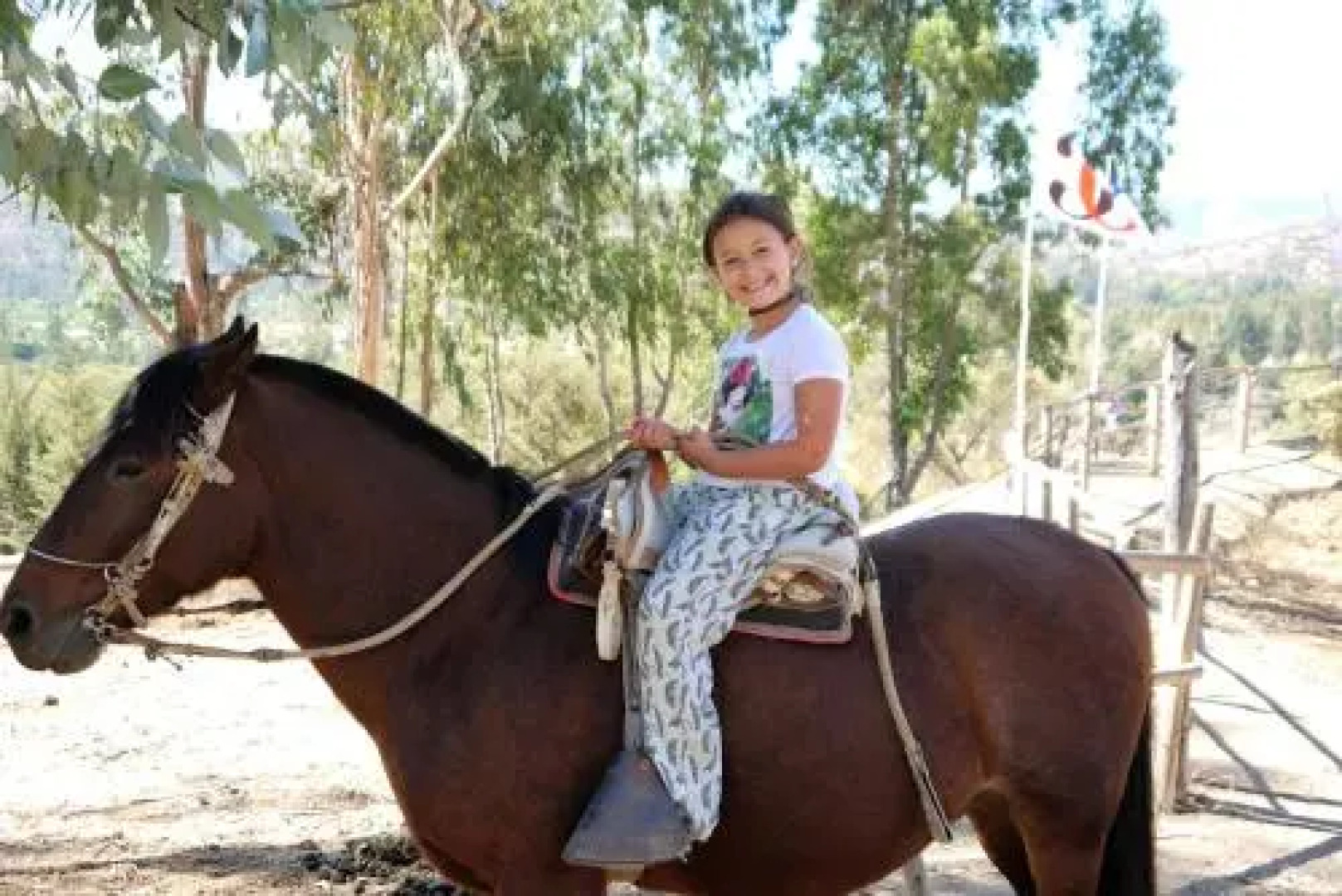 Hotel & SPA Colinas De Cuncumen