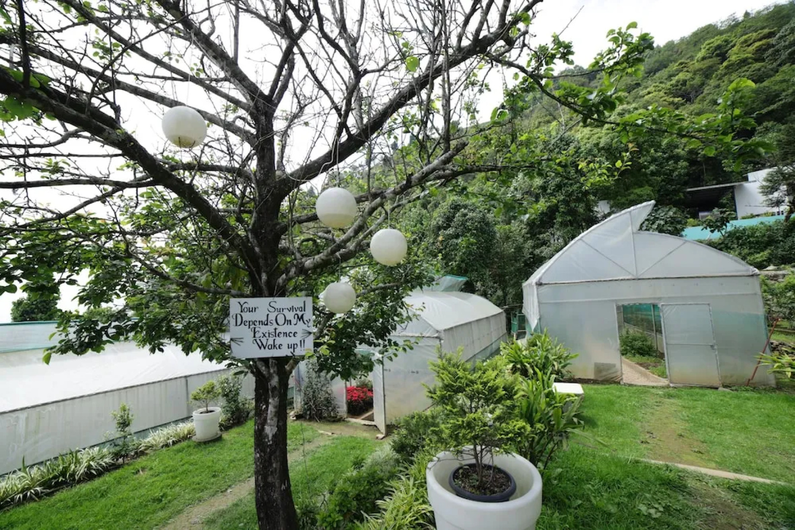 Allita Hotel & Resorts