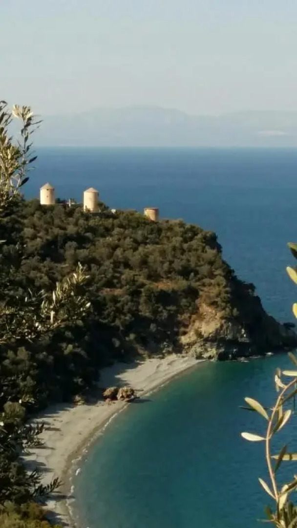 Lovely traditionnal house with sea view