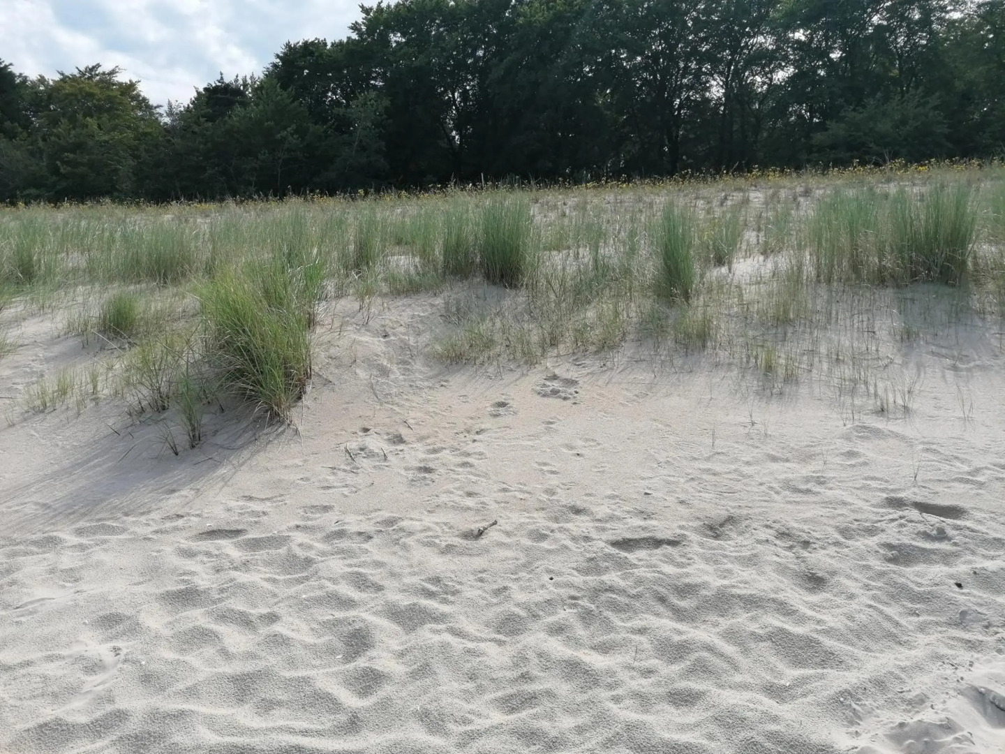 Pension Haus Anneliese