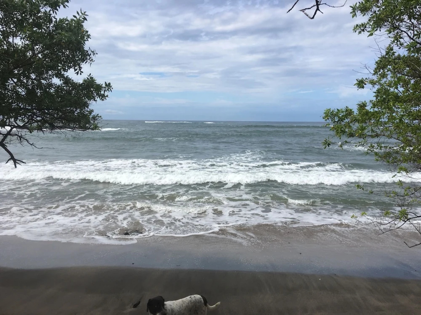 You Imagine Costa Rica Our Location Being on the Beach is What You Imagine