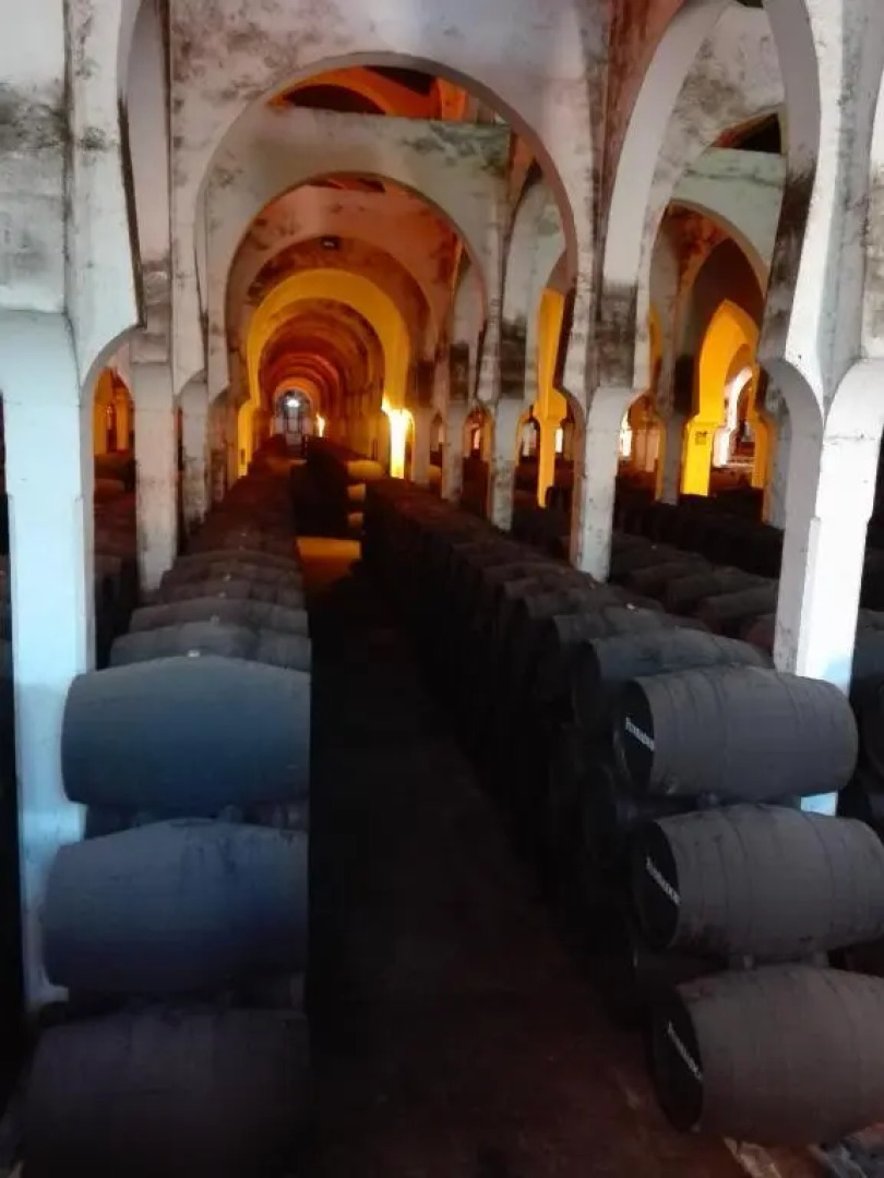 Apartamento San Miguel Caballeros