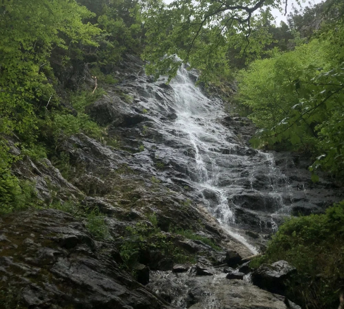 Big Intervale Fishing Lodge